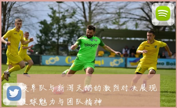 岐阜队与新泻天鹅的激烈对决展现足球魅力与团队精神