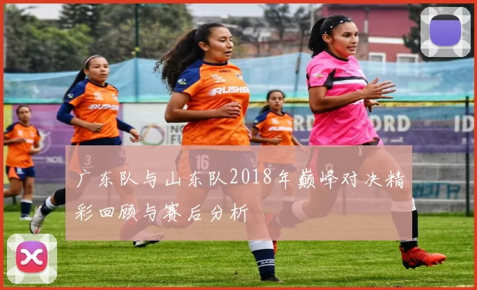 广东队与山东队2018年巅峰对决精彩回顾与赛后分析